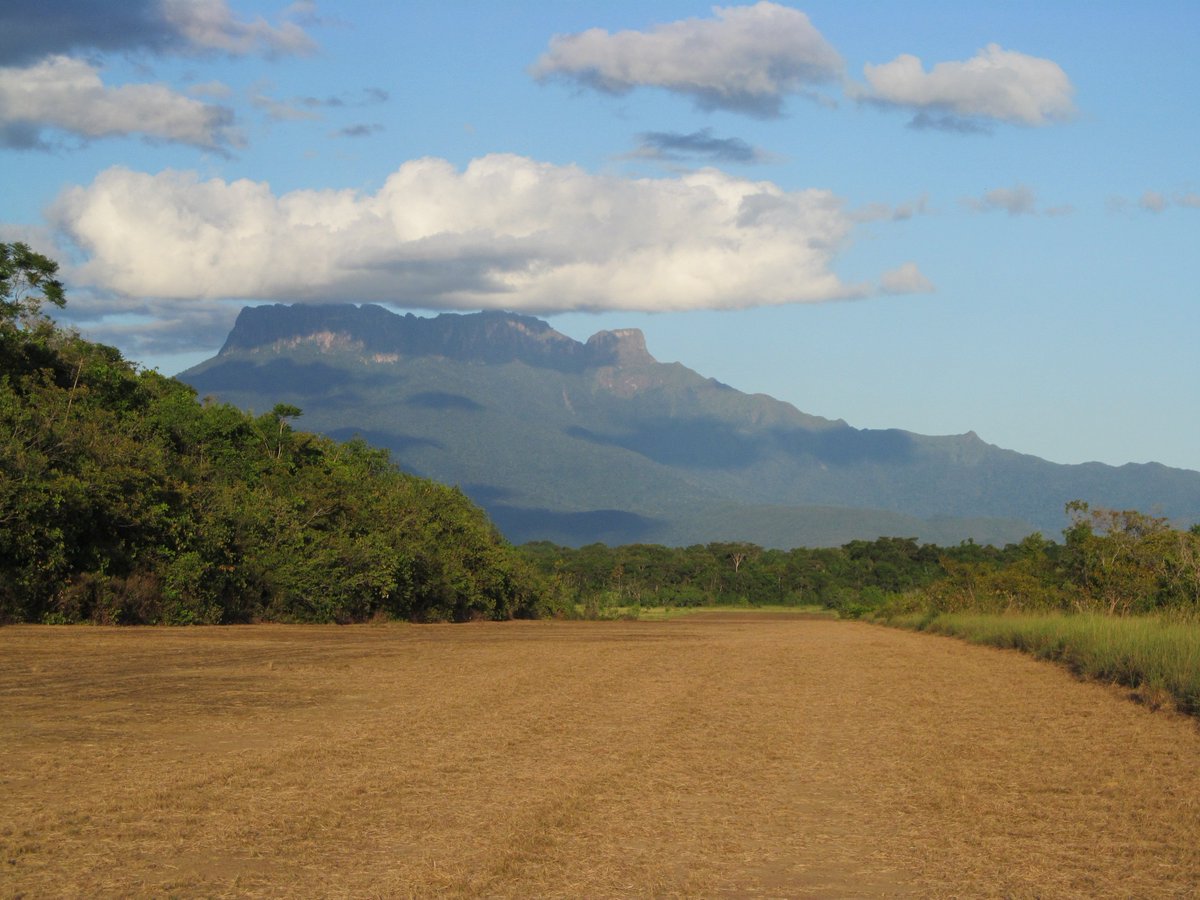 RobertoRaggi4's tweet photo. Tepuy  yavi - yutaje, amazonas venezuela https://t.co/7rX7a0xr0o