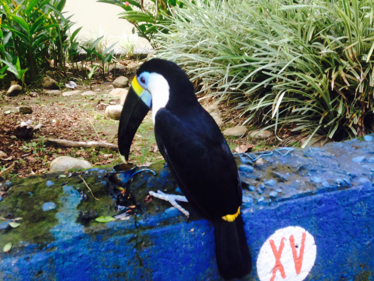 Mohited's tweet image. All she needs is your support, sound it loud, wide &amp;amp; clear; #NatureAlwaysWin @UNEP @AminaJMohammed @estherclimate @OlumideIDOWU SDGs #Goal13