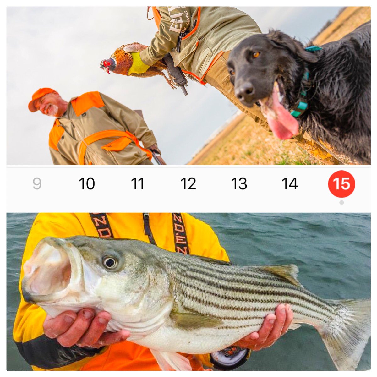 ❱ April 15th Has Arrived! Marking The Closing of The Upland Hunting Season &amp; Starting Up The 2017 LI Striped Bass 
Island-Outdoors.com