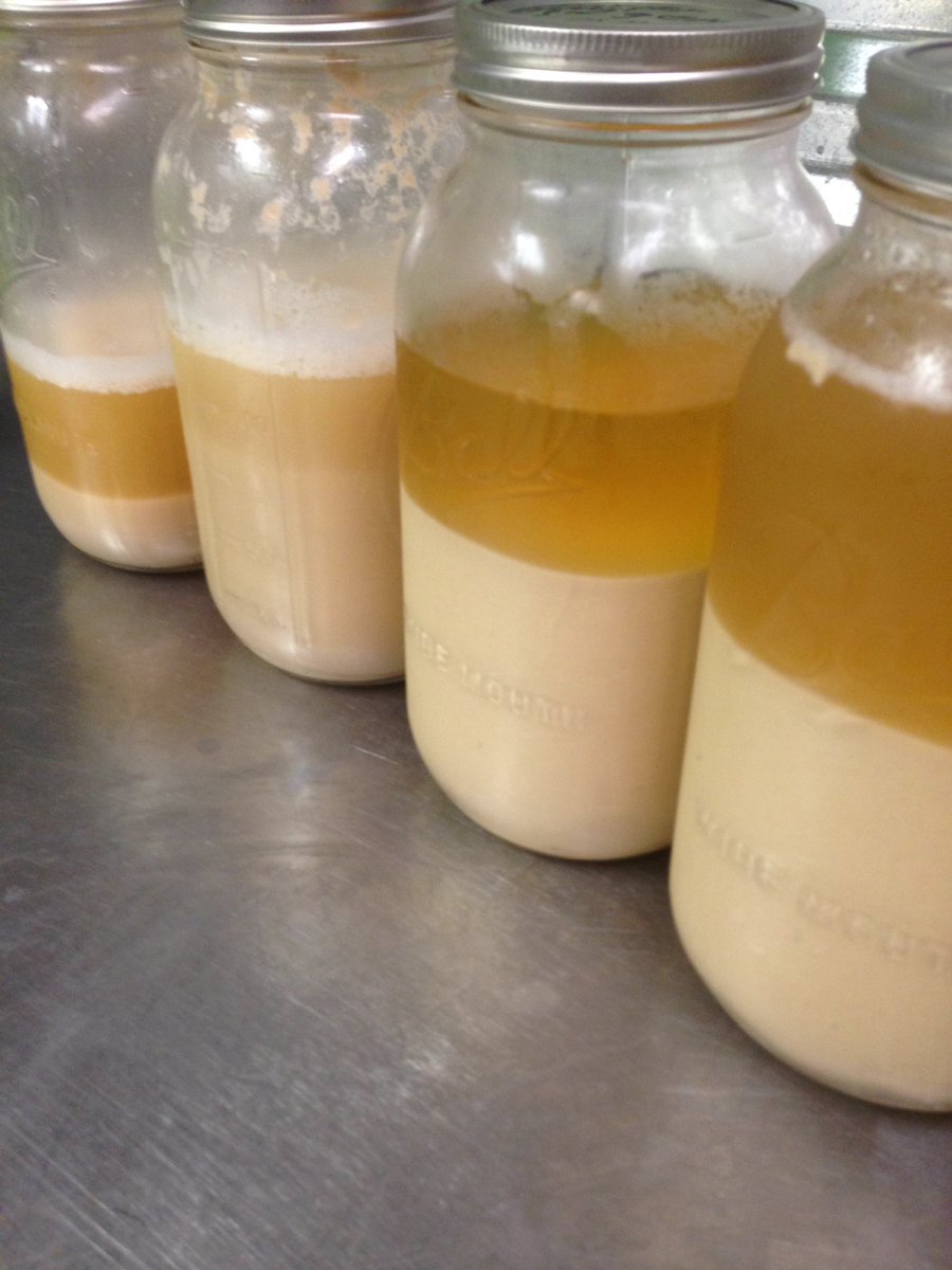OriginalGomez's tweet photo. Got #yeast? Make some! https://t.co/csBDC4B27k