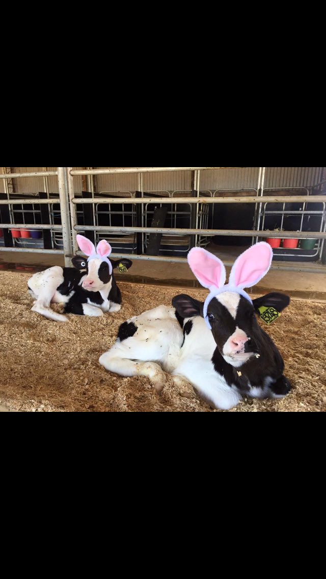 have a happy and safe Easter weekend! from your farm health and safety team! #celebratewhatmatters