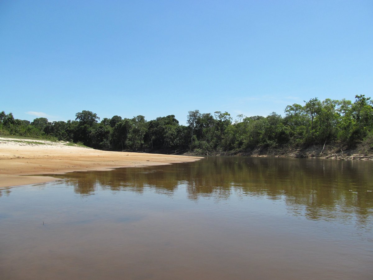 RobertoRaggi4's tweet photo. río manapiare amazonas, venezuela https://t.co/Cr2yCDfnmC