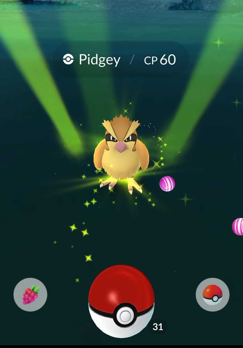DeadGuyPlays's tweet photo. Mini grind and sliders
#PokemonGO #LetsGo33 https://t.co/TKbx80TLd2
