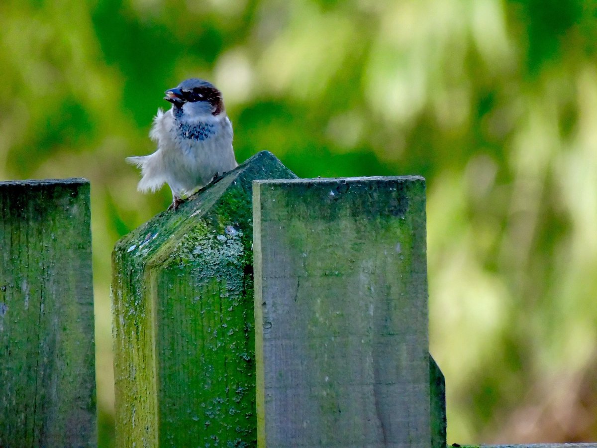 Maverick Photography (Maverick_Photos) Twitter