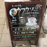 これからのトレンド？カワウソカフェという最高の空間!