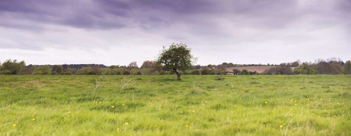 nbimaging's tweet image. #nbimaging #nathan #baxter #nathanbaxter #london #dedham @LRB @TimeOutLondon @LondonFATS #perth #wa #landscape #drone #dji #phantom #Mavic