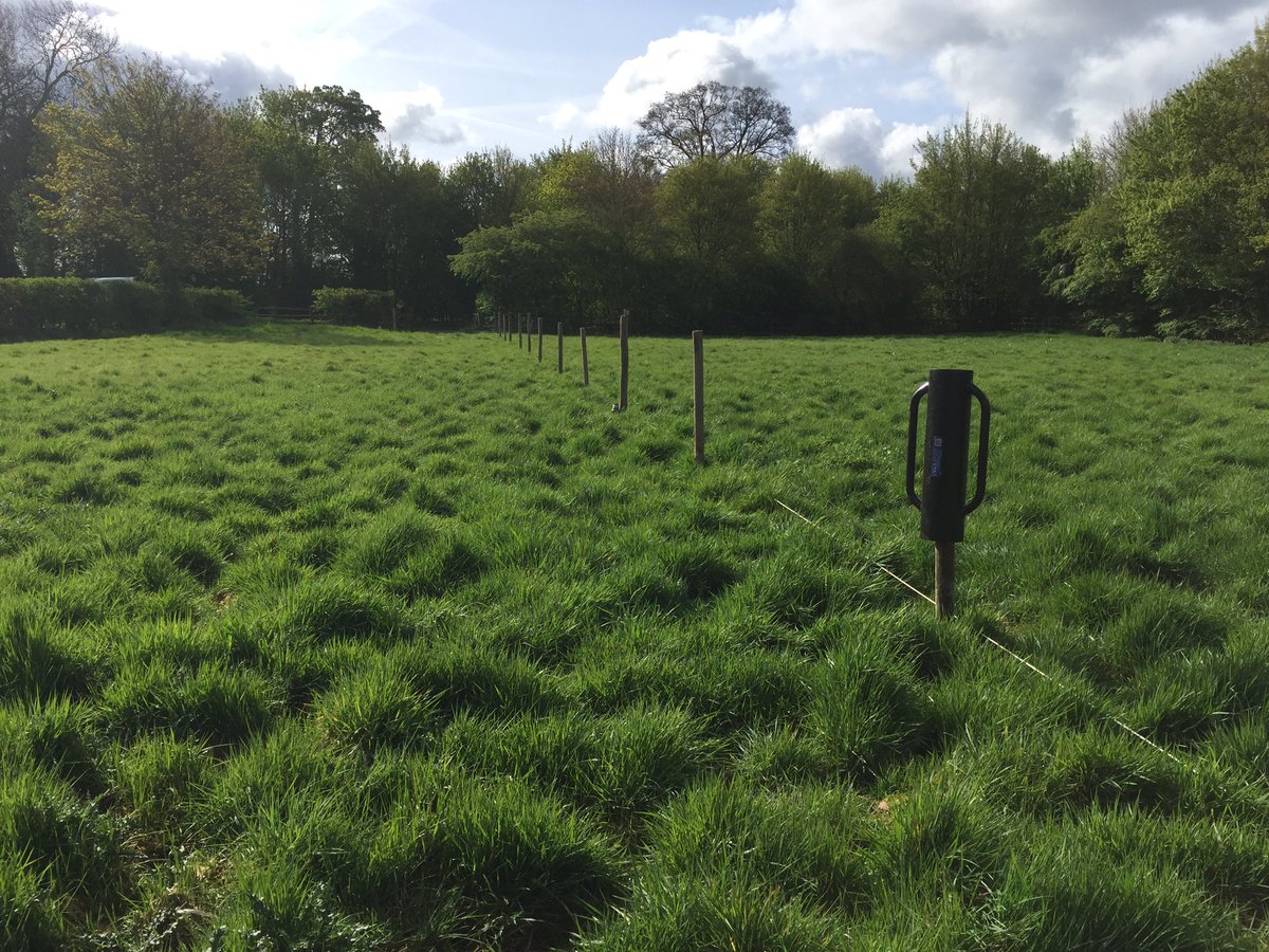 bellanhurst's tweet photo. Agricultural work out....... not yet half way!! https://t.co/szC0LxFwhz