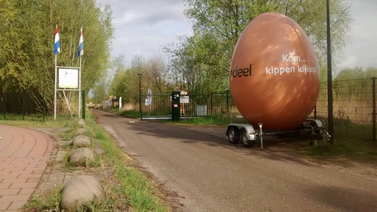 microRondeel is klaar voor het ontvangen van de eerste bezoekers! Kom kippen kijken <a href="/RondeelDenHaag/">Haagse Eitjes</a>