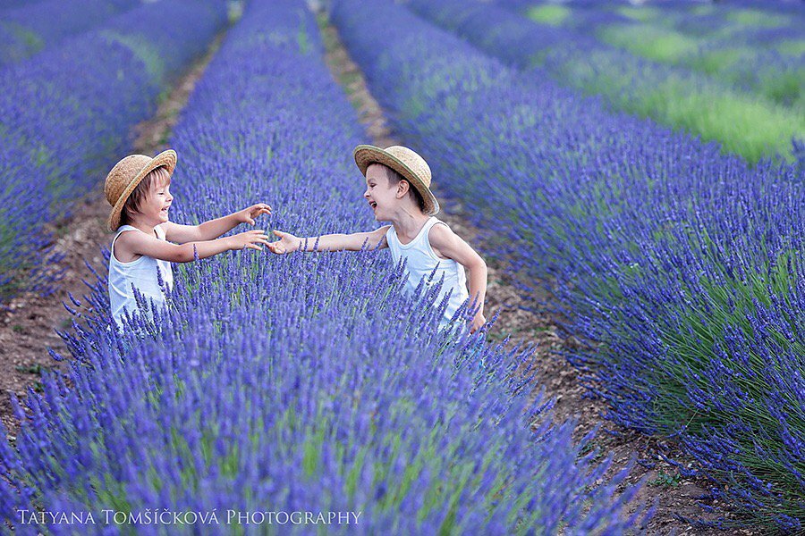 x.com/danchantall9/s…