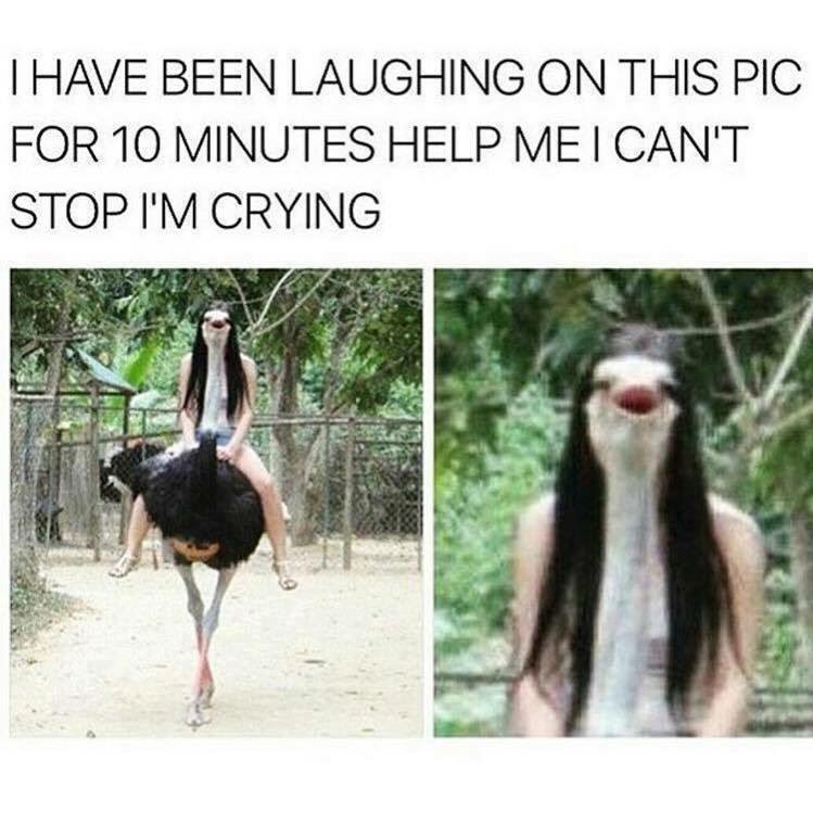 mechili9's tweet photo. #wtf #funny #omg #haha #cringe #rip #saveme #crying #hashtack https://t.co/oPzq3kDDcc