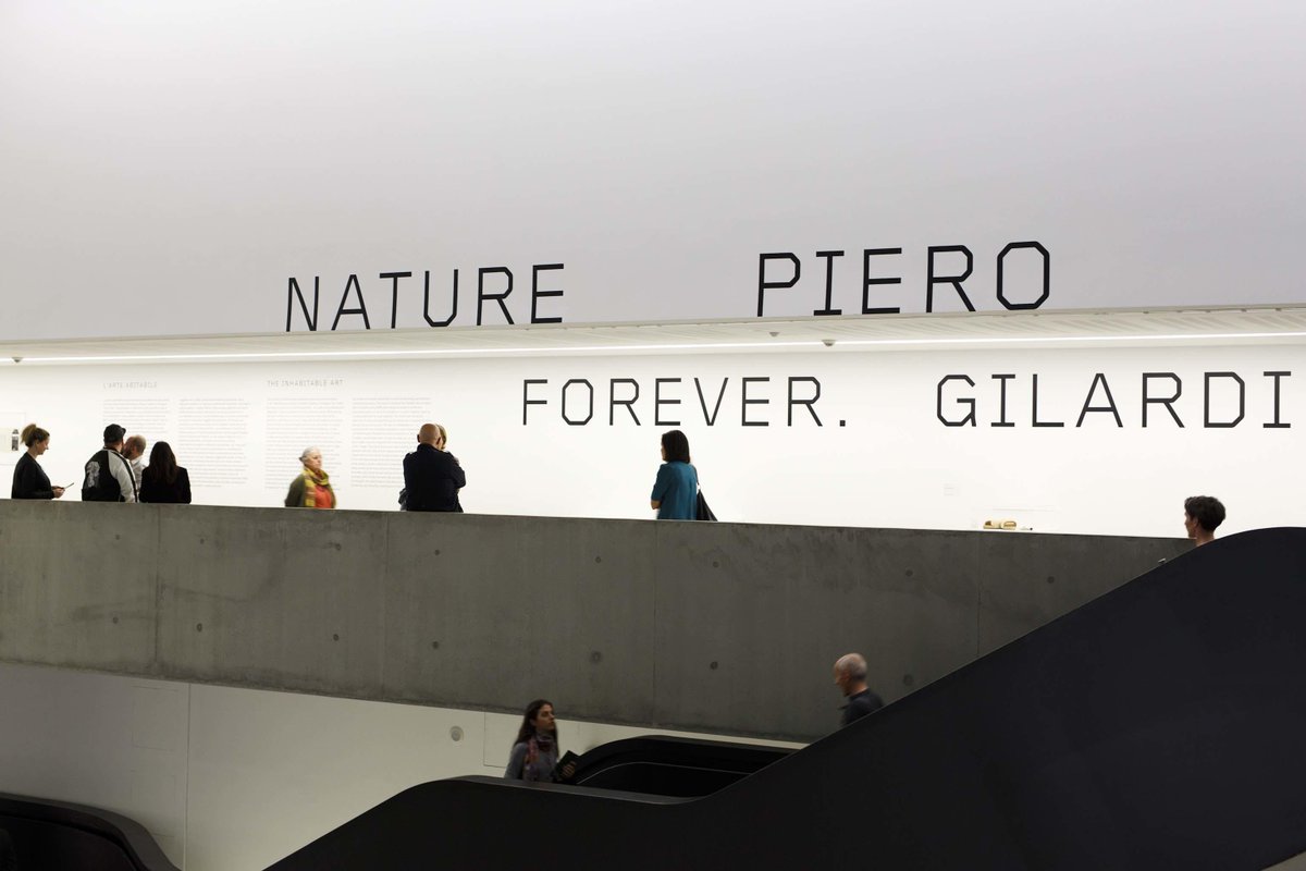 Museo_MAXXI's tweet photo. "L’Arte deve entrare nella vita". Oggi le #VisiteGuidate sono dedicate alla mostra #NatureForever #PieroGilardi >https://t.co/i8S0YrfAGP https://t.co/pHXEKucBTr