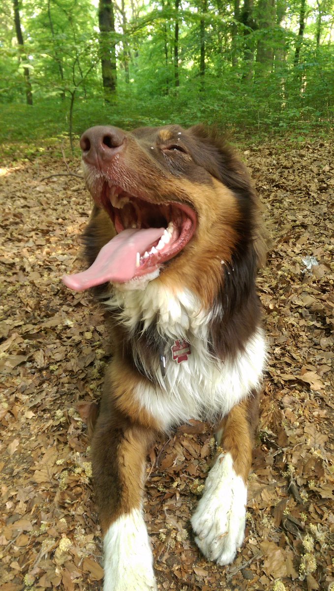 Absolute happiness... #weekend