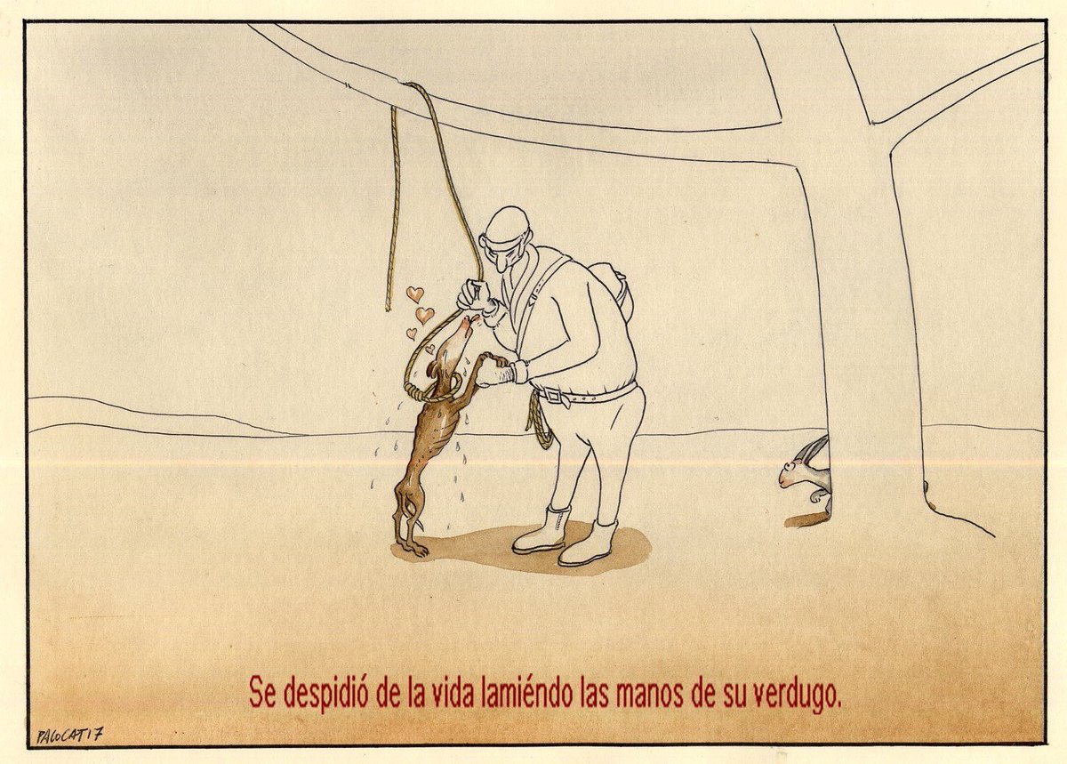 DANIROVIRA's tweet photo. Cada día, @pacocatt usa su arte para dar voz a quien no la tiene. Cada día. Gracias por estar de este lado... https://t.co/p7fVHAIjuZ