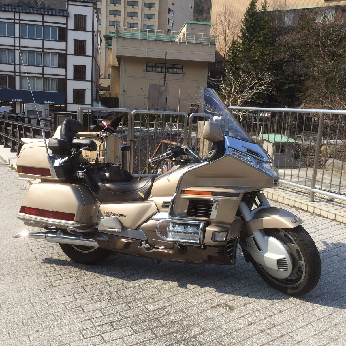 swiftman1175's tweet image. 北海道もやっと春。いちごと今年初のツーリングです。定山渓温泉まで行きましたが、温泉卵を作れる「源泉公園」は工事中のためしばらく閉鎖だそうです。＿|￣|○
後部座席の箱がイチゴの指定席。鯉のぼりを眺めています。