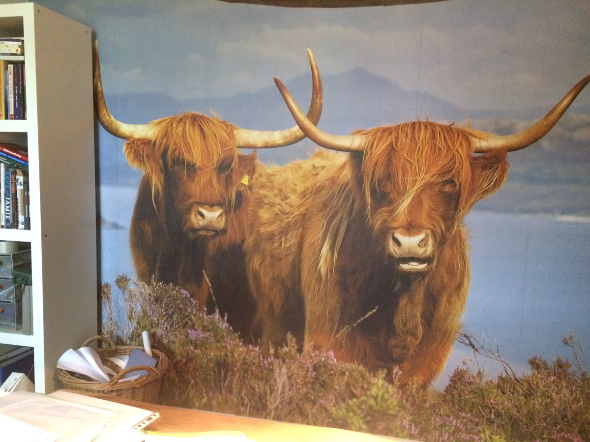 Laatste fase in kantoor nu ook afgerond, behang op de muur. De natuurrunderen lopen bijna tot aan mijn bureau.
