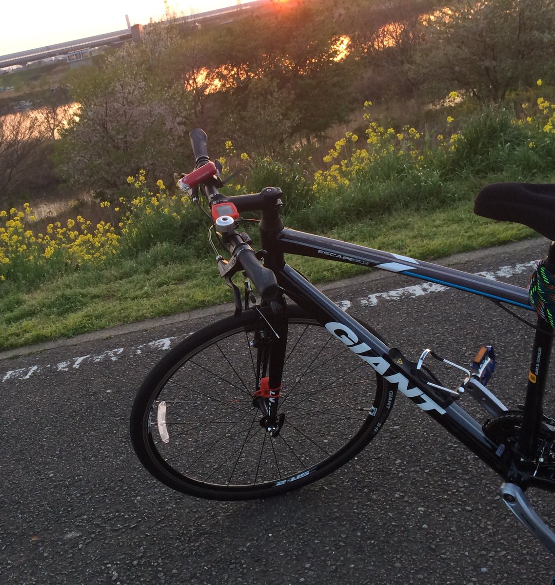 digoxin800's tweet image. ちょっと松戸へ…