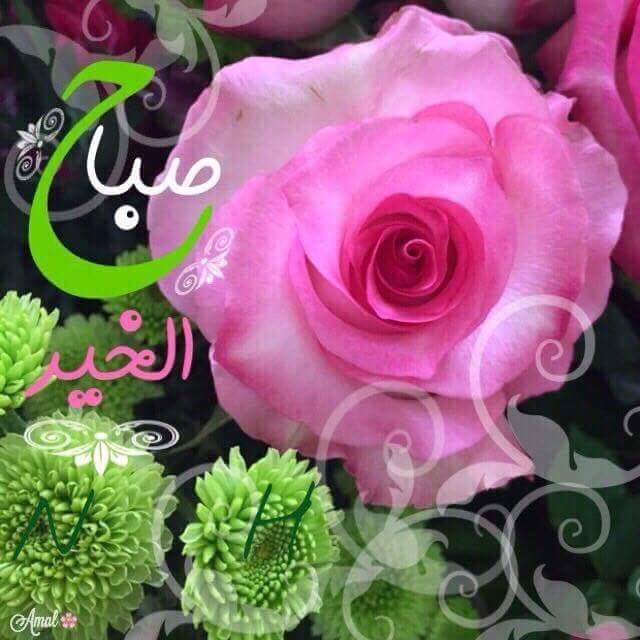 @CtgJPsoa6NPGJWW <a href="/BoshtTarek/">bosht tarek</a> @aaaaaaa313sssss <a href="/AbouSawsan/">Sawsan Abou Alhija</a> <a href="/Hsnklil/">H. Hassan Khalil</a> @ammarhussien411 <a href="/wehbimoha/">Mohammed Wehbi</a> <a href="/5d95ffeea9394f7/">lahzy77@gmail.com</a> <a href="/saadshammary1/">سعد الشمري</a> <a href="/ED8XpEgJqyUwqnT/">زهر الجوري</a> <a href="/kk296344/">ٶ١ڼ٩٩ع٦ kamalٶ1ڼ99ع6</a> <a href="/Alboh29Mona/">Mona ❤kamal❤</a> <a href="/GHadaNew88/">。* ★ ـ❥ ـ❥。• ❥ ‏غـۦٰؖ͜ــہاادة ˚ ‏</a> <a href="/JaNNaT246/">Jannat🇮🇶العراق🇮🇶</a> <a href="/ALbadiFawoz/">ابو فوزي</a> <a href="/s_el_ysf/">Soufiane E.</a> <a href="/aboshab_samir/">Samir Aboshab</a> <a href="/jannAt218/">JaNNaT218دخوول متقطع</a> <a href="/DreemEnti/">الخنساء</a> <a href="/hanan3073/">نجديه بنت شيو خ</a> <a href="/MonaKh44/">‏Sendrilla</a> <a href="/mfared325/">نورجان</a> <a href="/omarmohamd77/">عمر محمد الجبوري</a> <a href="/majdamajdati/">ماجدة</a> <a href="/iraqya99/">عراقيه</a>