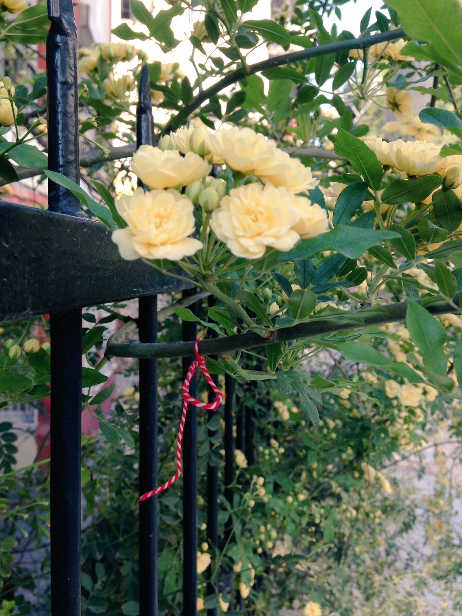 Meleba✋🏾 pazartesi işe başlıyorum. Meleba ✋🏾