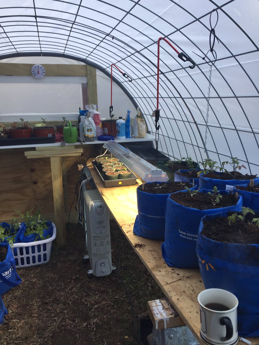 AlkieBPD's tweet photo. #zone6b poly #cattlepanel greenhouse #indica under lights on seedling warmer. @dum_phuk https://t.co/1w2v1HkYbM