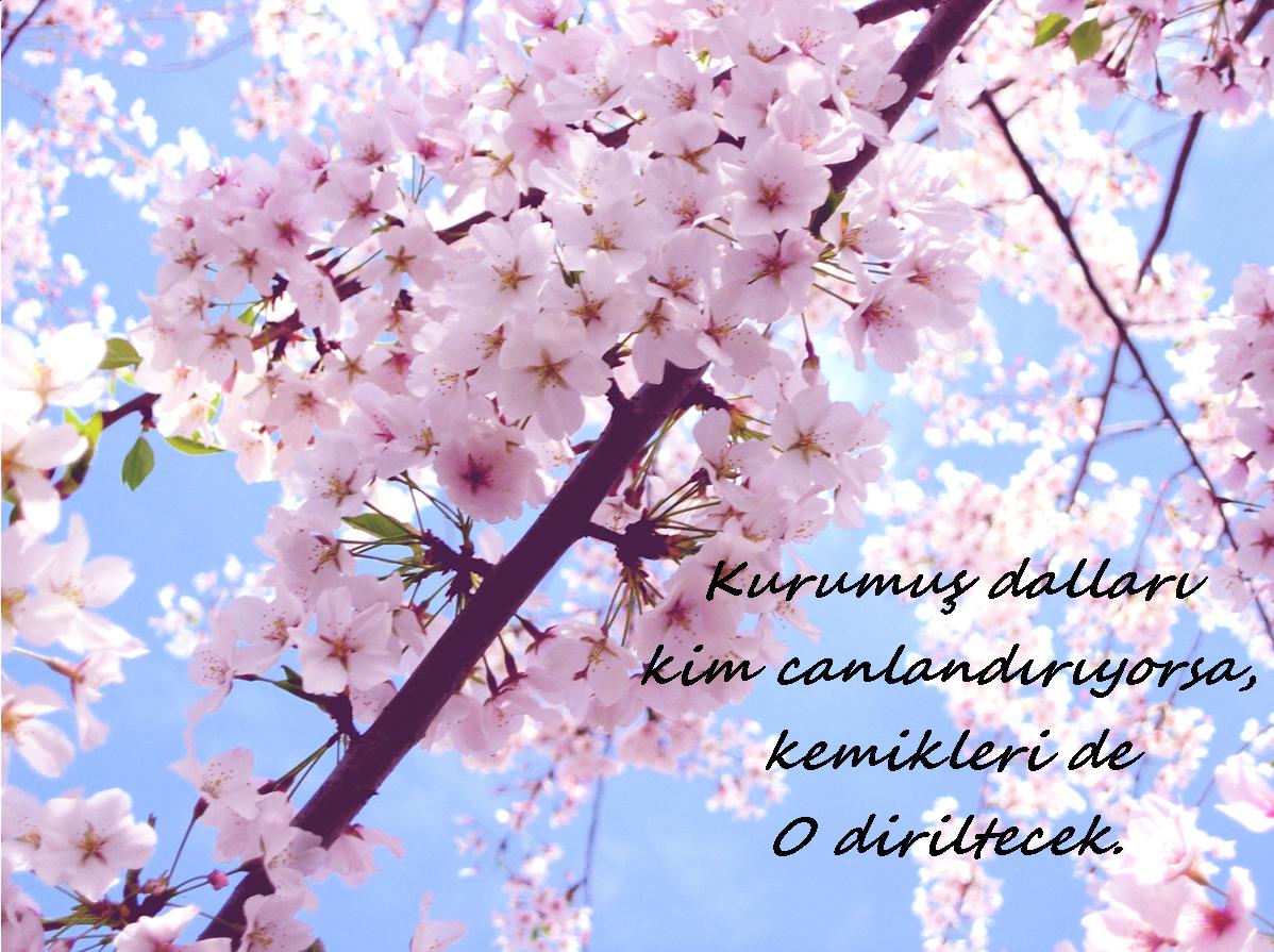 Ateizme Cevap (@antiateizm) on Twitter photo 