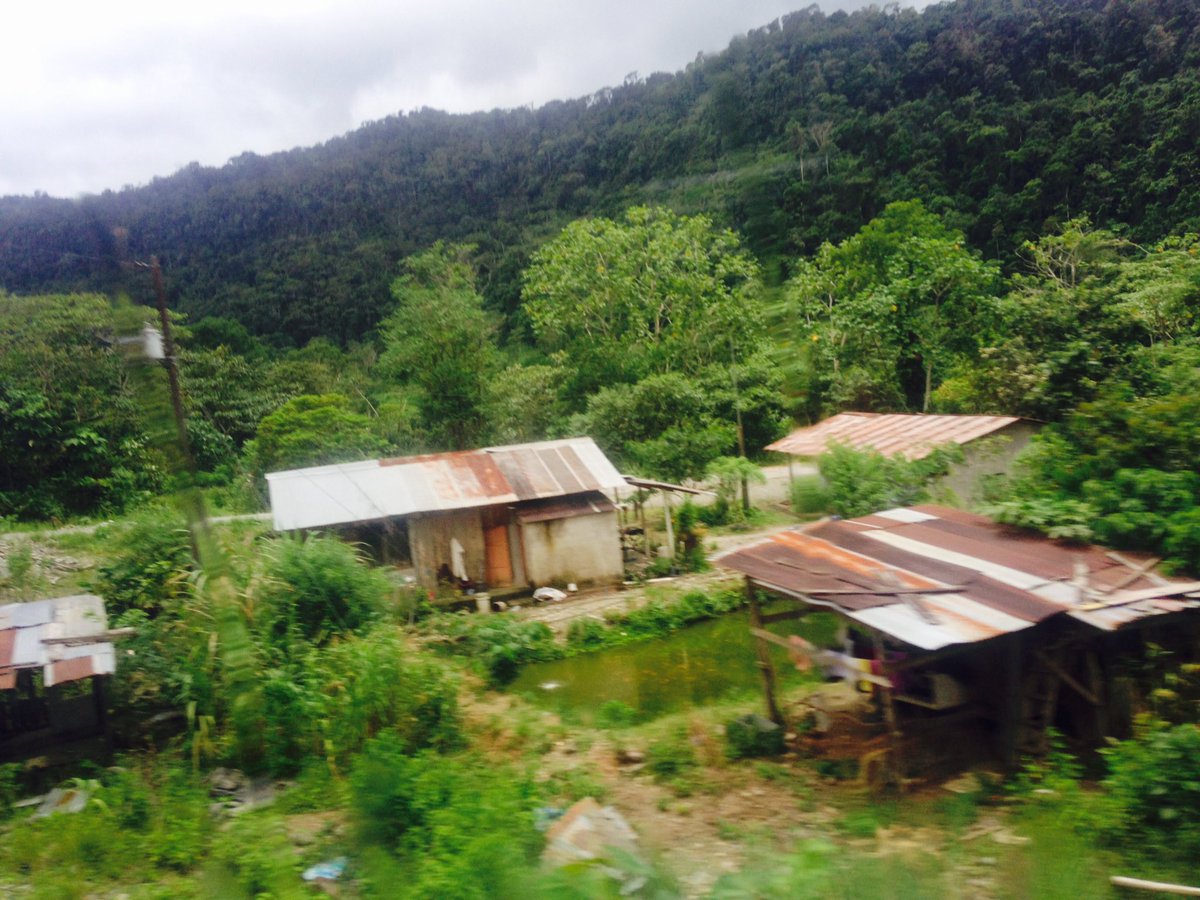 Mohited's tweet image. The harder they try, the stronger she gets; #NatureAlwaysWin why not protect her @estherclimate @UNEP @OlumideIDOWU #HamzaCODE
#SDGs #Goal13