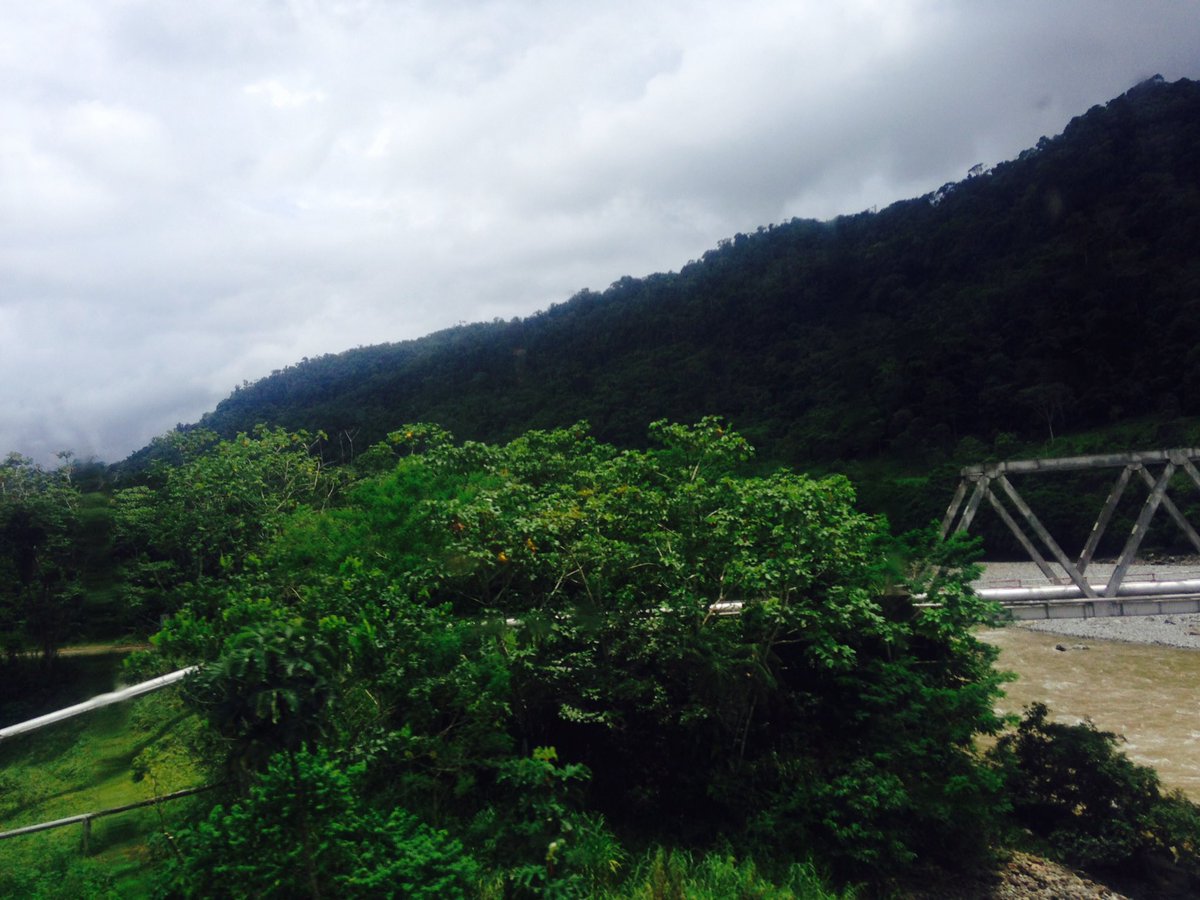 Mohited's tweet image. The harder they try, the stronger she gets; #NatureAlwaysWin why not protect her @estherclimate @UNEP @OlumideIDOWU #HamzaCODE
#SDGs #Goal13