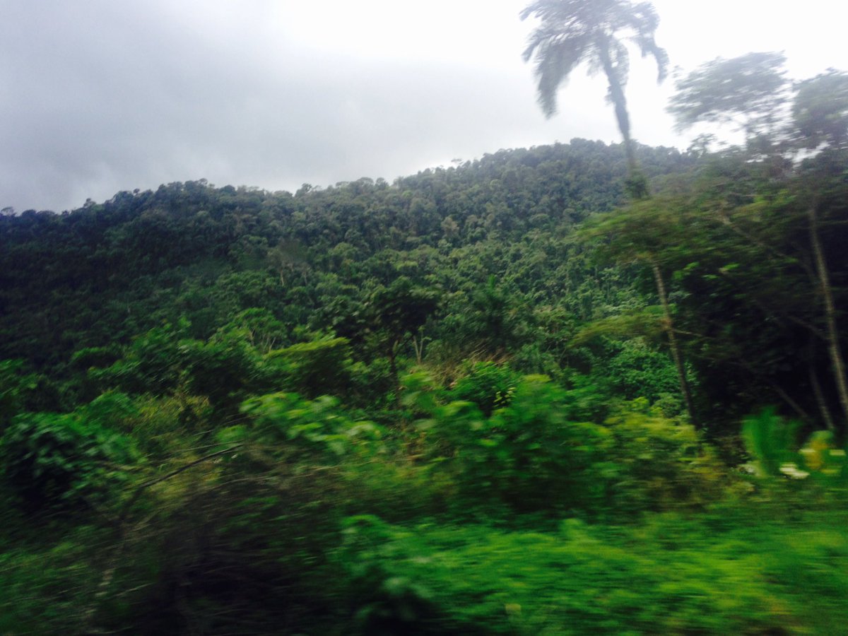 Mohited's tweet image. The harder they try, the stronger she gets; #NatureAlwaysWin why not protect her @estherclimate @UNEP @OlumideIDOWU #HamzaCODE
#SDGs #Goal13