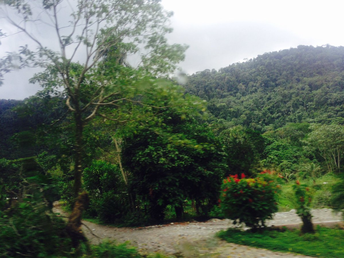 Mohited's tweet image. The harder they try, the stronger she gets; #NatureAlwaysWin why not protect her @estherclimate @UNEP @OlumideIDOWU #HamzaCODE
#SDGs #Goal13