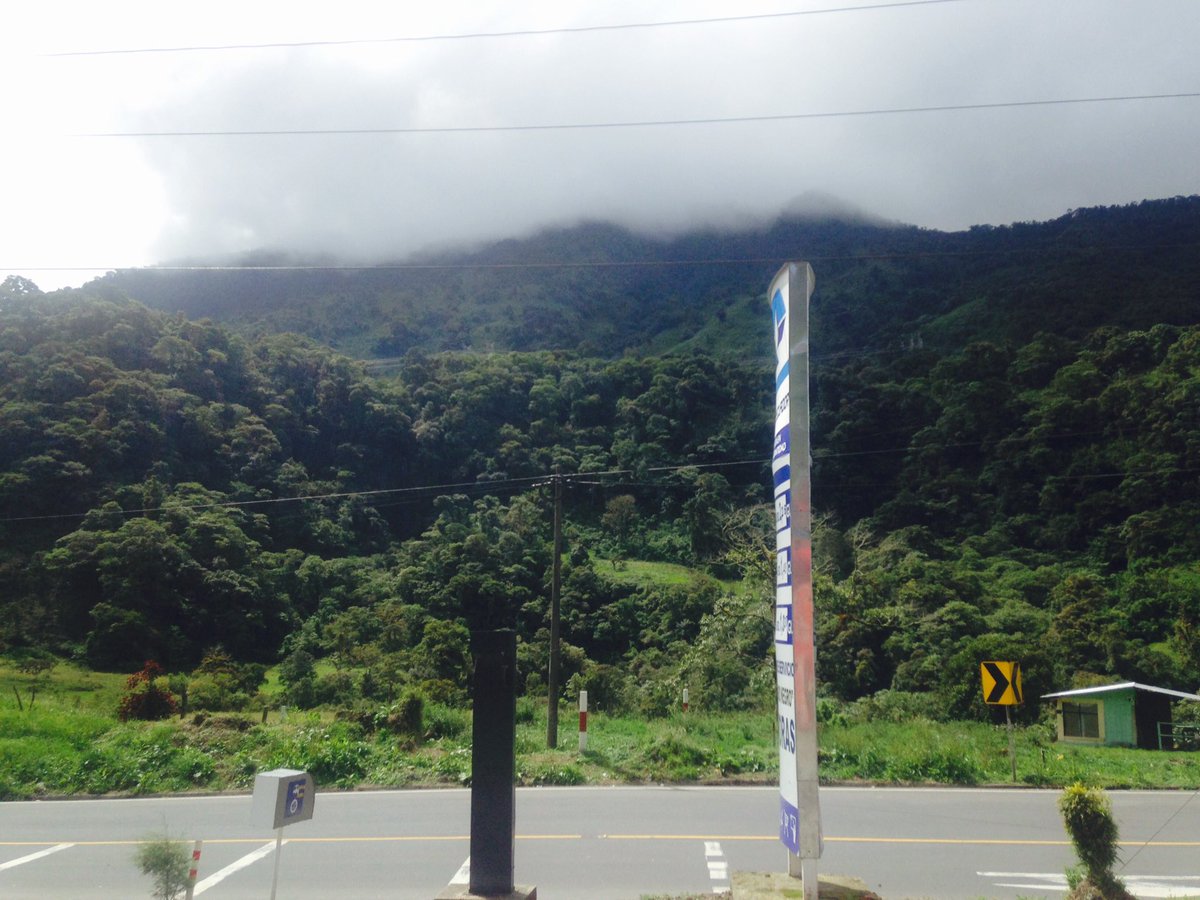 Mohited's tweet image. They always think she'll break but we know she is BRAVE #NatureAlwaysWin @UNEP @estherclimate @OlumideIDOWU #HamzaCODE lets stand with her💪🏼