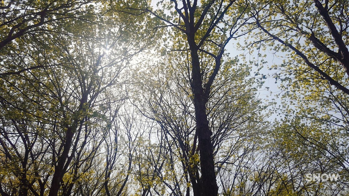 따사로운햇살이너무좋은하루♡ #봄날 #올림픽공원