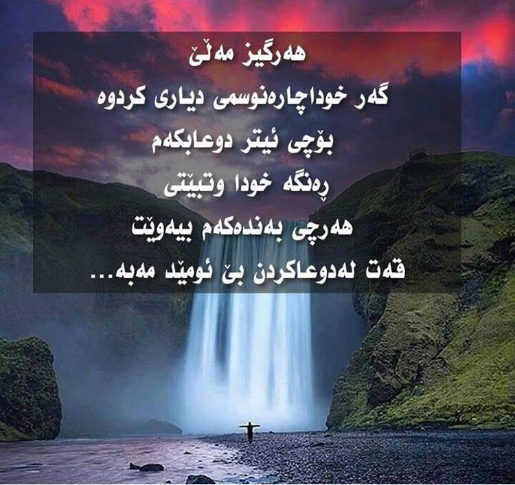 Sargul Ali (@sargul_ranya) on Twitter photo 