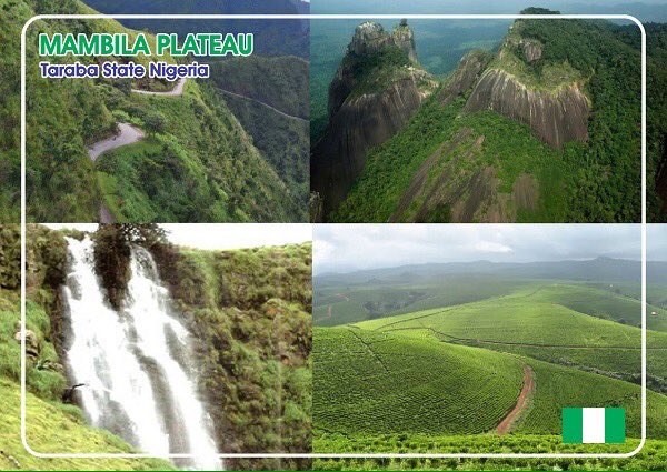 Mohited's tweet image. At dawn she smiles, at sunset she thrives, she gives me joy she's strong;#NatureAlwaysWin @UNEP @AminaJMohammed @estherclimate @OlumideIDOWU