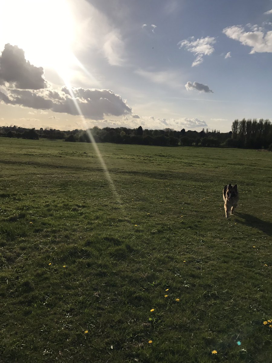 Leah_2344's tweet photo. No complaints. #JustMeAndTheDog. https://t.co/qxpqUGTJVK