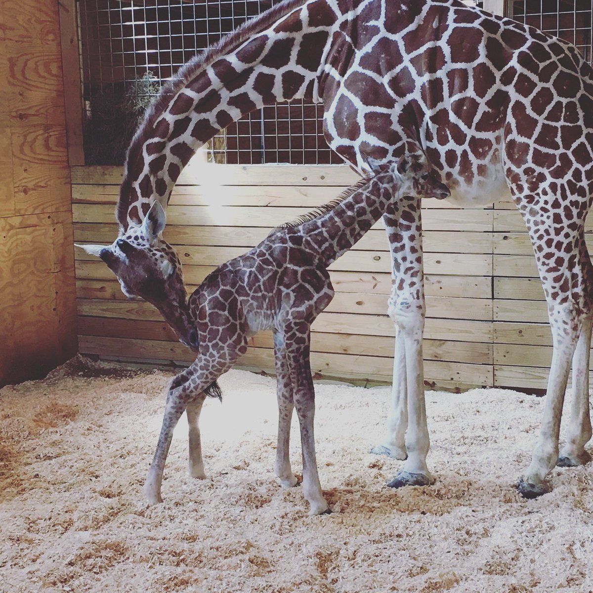 April And Baby Boy/Animal Adventure Park