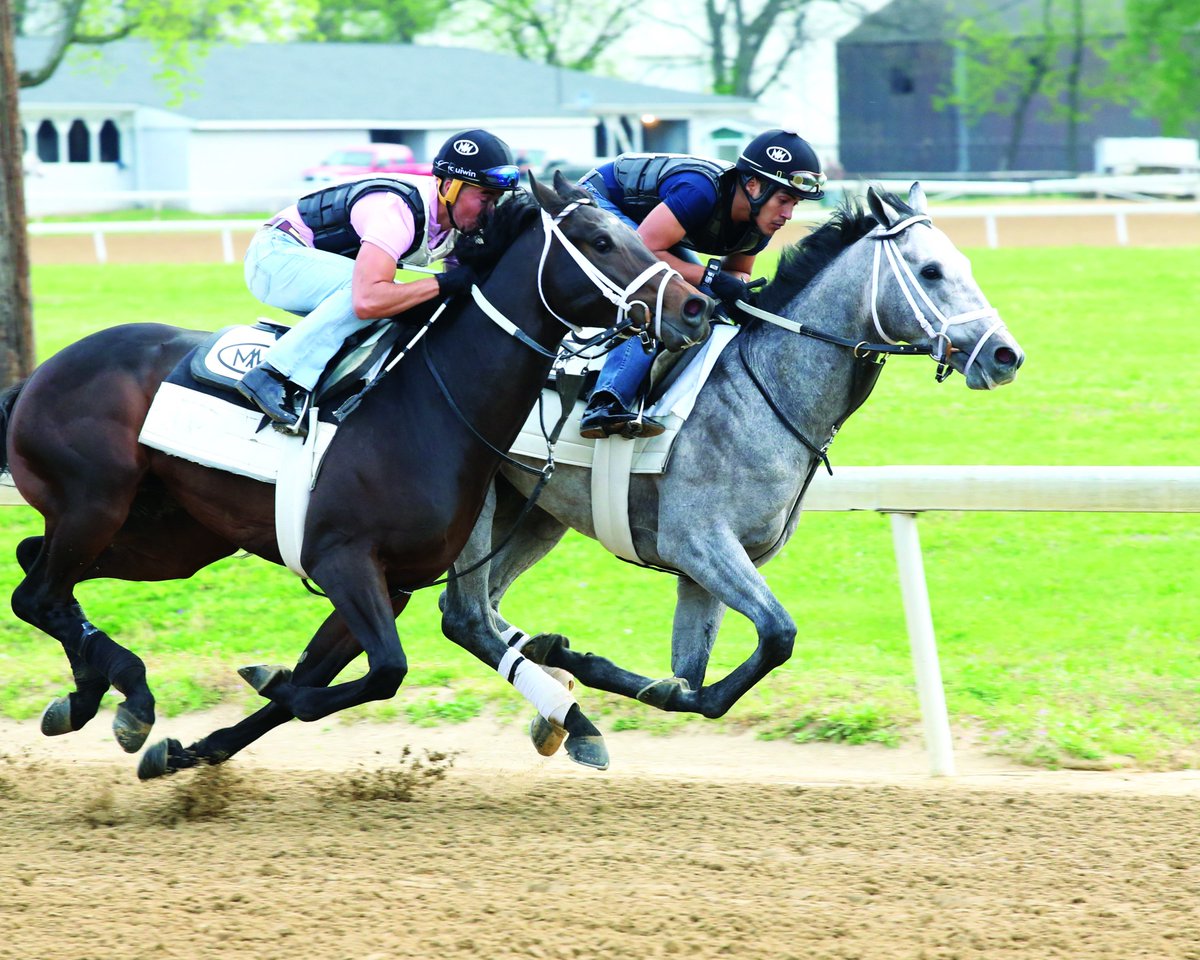 BH_AEberhardt's tweet image. #FastandAccurate (inside) works 5F in 59.60 at Trackside for Kendall Hansen and @trainerMMaker #KyDerby @CoadyPhoto @ABRLive