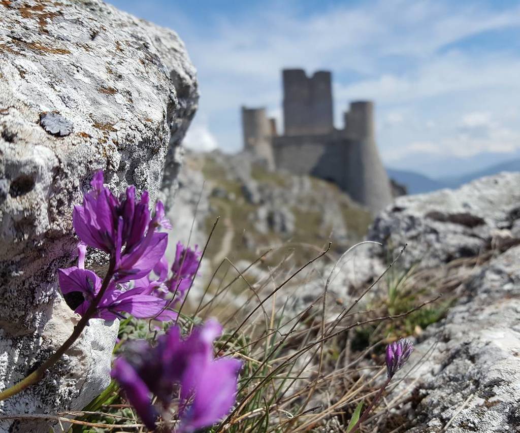 ilPonticello's tweet photo. Rocca Calascio #ilponticellotrekking #hiking #ponticello #trekking #escursione #pictureoftheday #abruzzo #campoimp… https://t.co/ddQzAEdLiQ https://t.co/cx949sFQpj