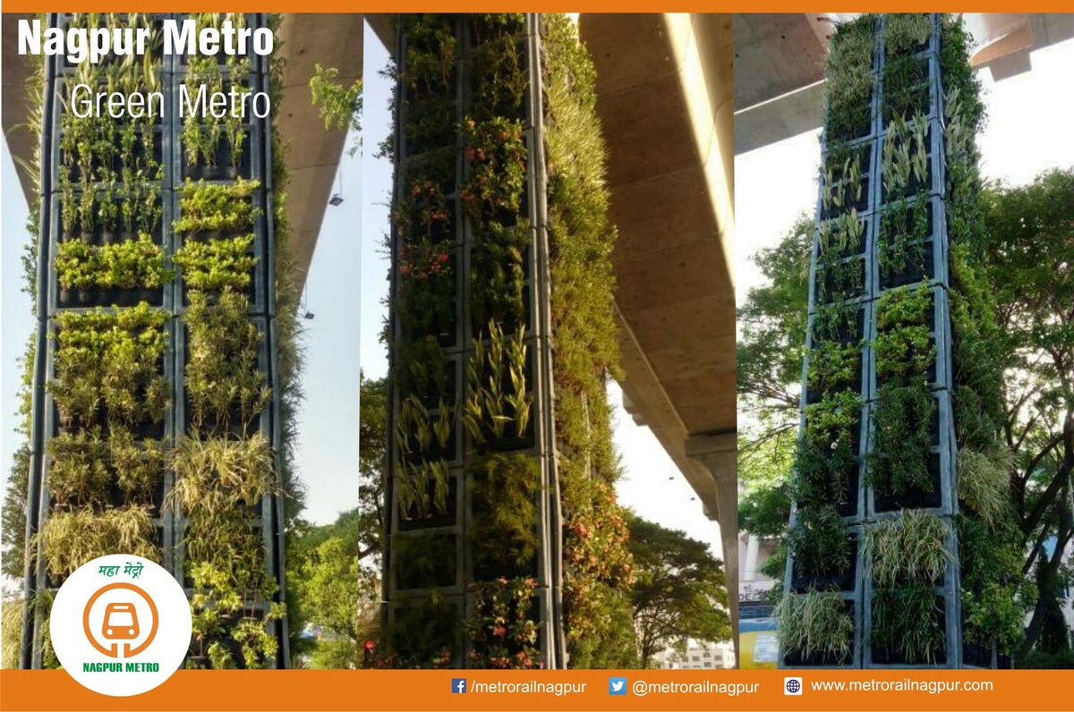 RjAkkiiRedfm's tweet photo. A Vertical Garden Created On A Metro Pillar Near Pride Hotel 🌴#Proudthing #MajhiMetro #Nagpur https://t.co/G9u5PwQMb1