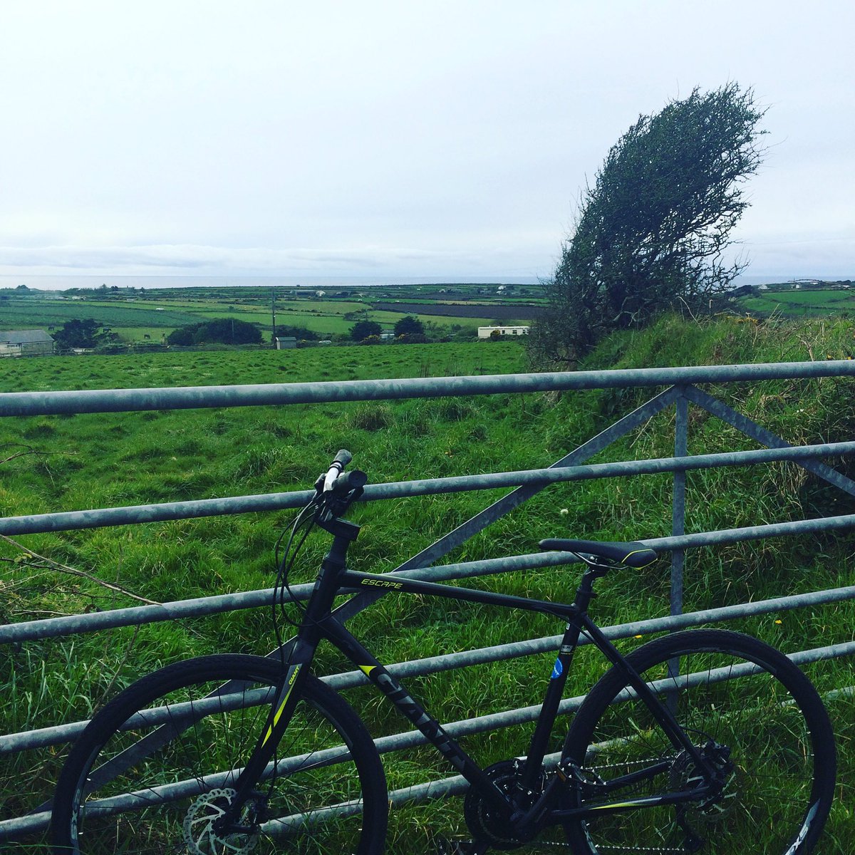 bathtorome's tweet photo. Loved my first ride on the new bike @Giant_Bicycles. Can't wait to take it to Rome! #bathtorome #biketrip #arthritis https://t.co/wQu1SL5YHR