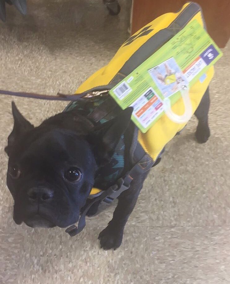 brucebenin's tweet photo. I don't want to get wet https://t.co/VnuflfXMza
