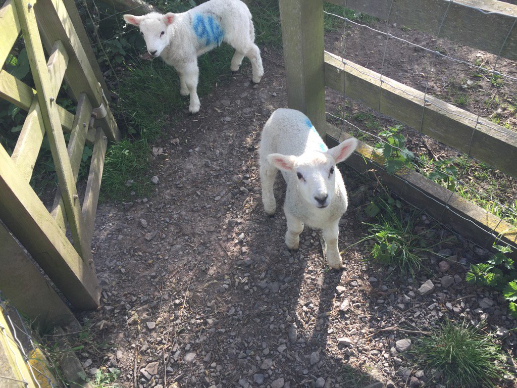 I'm glad I'm in #Seatown and not on your #Easter plate! Happy Easter everyone