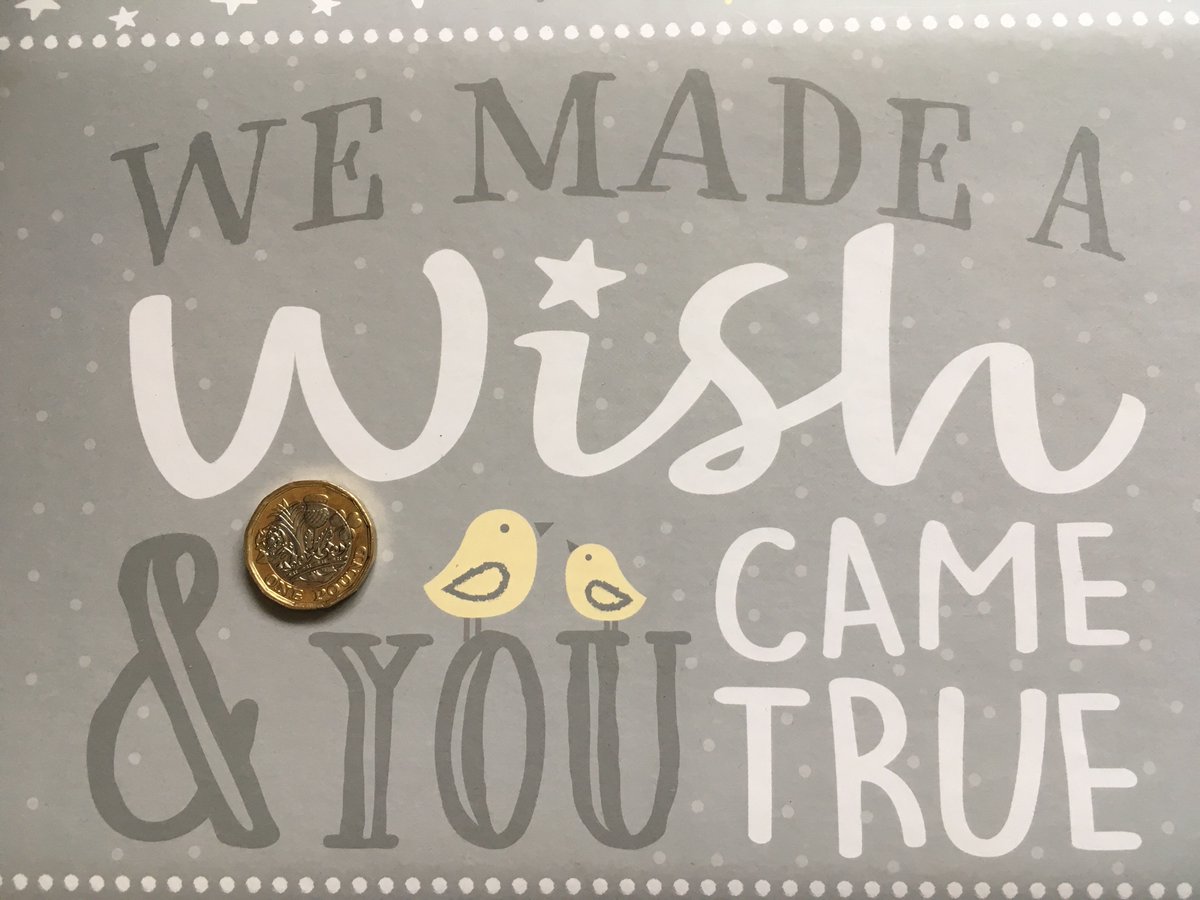 The £1 Project tweet media