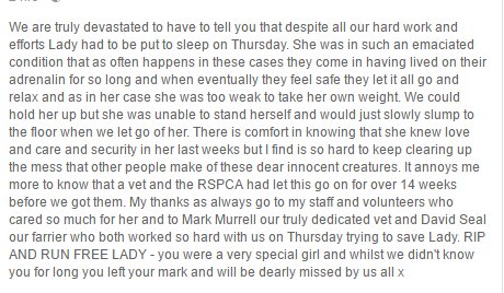 WE_HTHW2015's tweet photo. RIP
14 weeks she waited for help - this is the system that is broken. 
This is why things have to change 
#OpEquine
https://t.co/8cBQ3HLTT7 https://t.co/IiRXWf7Oet