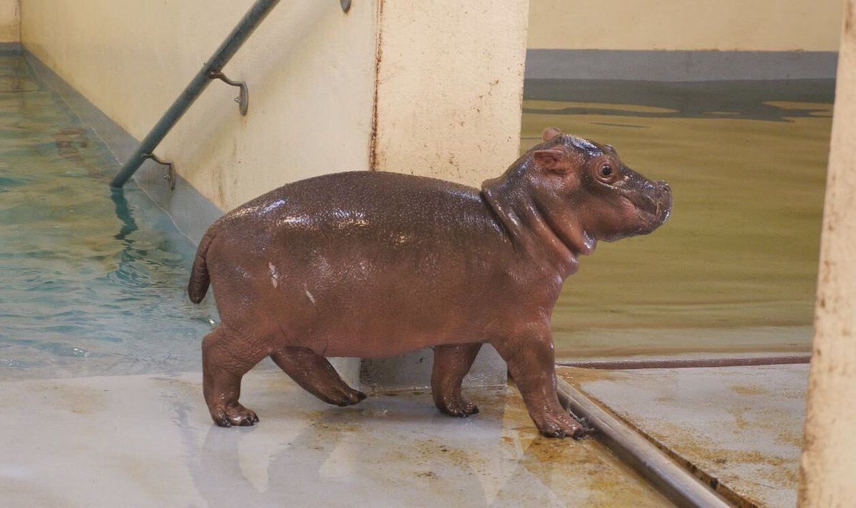 DummeWitze's tweet photo. Wenn man vergisst ein Handtuch an die Dusche zu legen. https://t.co/ydMpqqFMvj