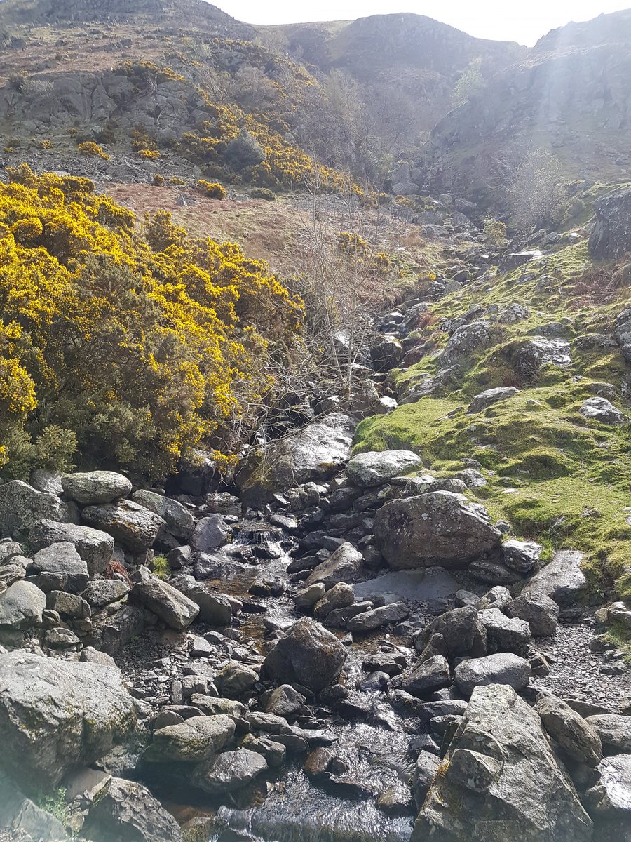 SophStewart8's tweet photo. Another lovely walk as part of @TheUllswaterWay and a light lunch in Pooley Bridge @CrownPooleyB  #EasterWeekend #LakeDistrict #NotJustLakes https://t.co/GwcWAvVF5A