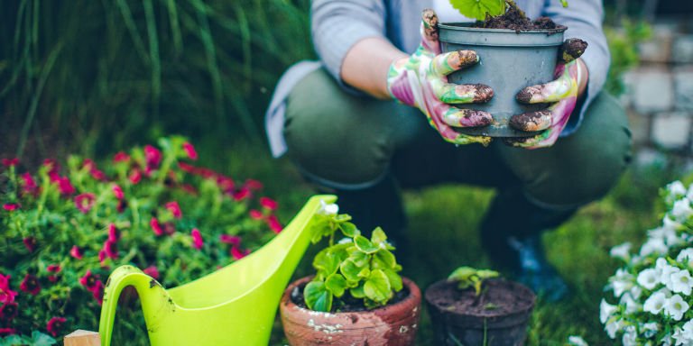 SheridNurseries's tweet image. Here's what spending an afternoon in the #garden does for your mental #health ow.ly/bME630ap7LN @CountryLiving
