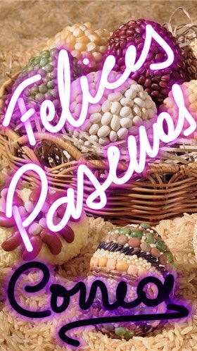 CorreaShoes's tweet photo. Les deseamos todos los que hacemos que tus pies, se luzcan paso a paso... ⚜️🐰 #CalzadosCorrea #Artesanos #Zapateros #Argentina https://t.co/Iao6ExsK5w