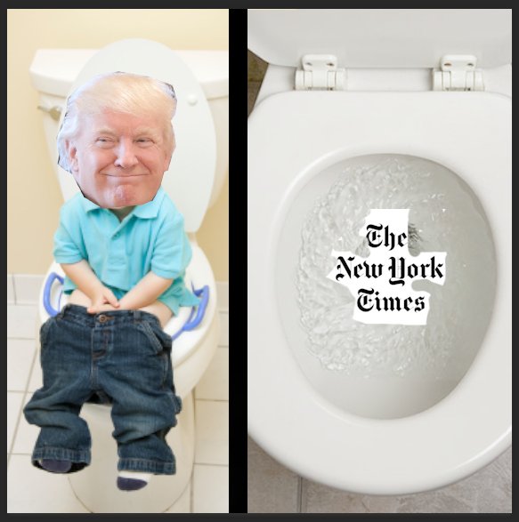RT_Munapest's tweet photo. The origin story of NYT.
#munapest #munapest2017 @munaDonaldTrump @NYT_munapr https://t.co/nRraecmIUC