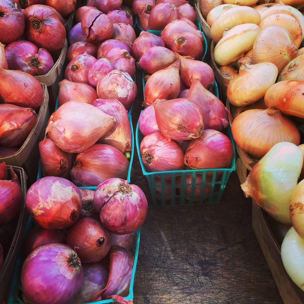 thelunchmason's tweet photo. Shallot time! @UnSqGreenmarket https://t.co/fMdROrOKIR