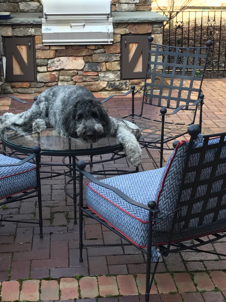 George back to doing his thing. #summertime