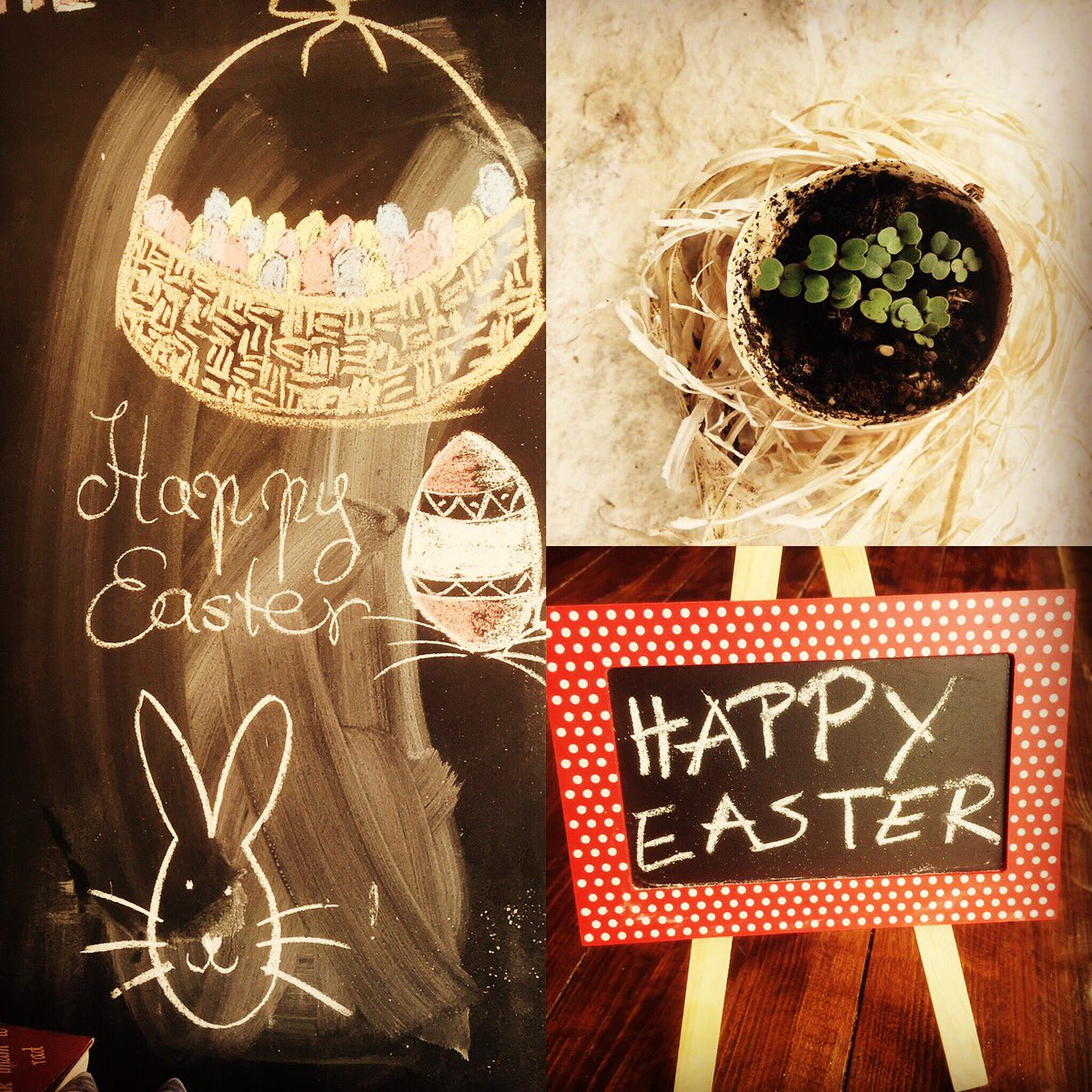 RuralCroatia's tweet photo. Happy Easter 🐥🌸🌼 #Croatia #sibenik #drnis  #kalpic 🌞🌞🌞 https://t.co/facSXecDue